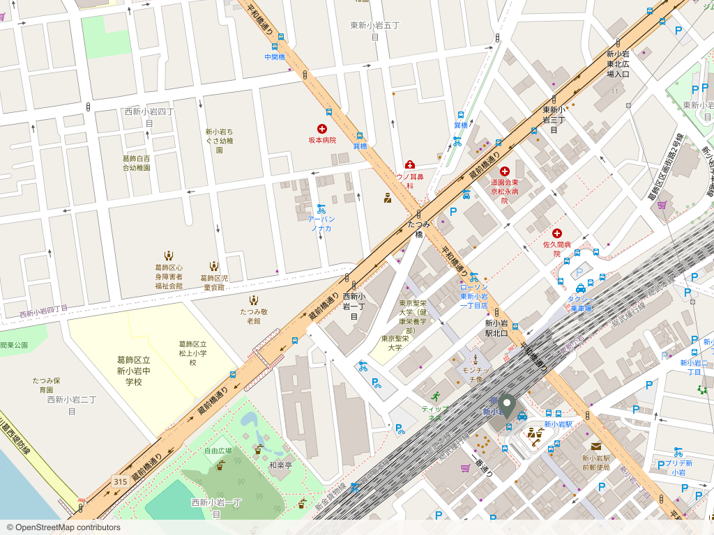 iina の地図。新小岩駅北口から徒歩2分